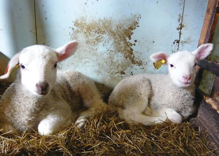 Isfjorden Isfjorden *